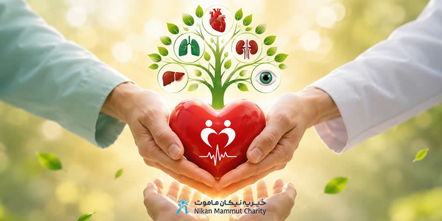 Organ Donor Card