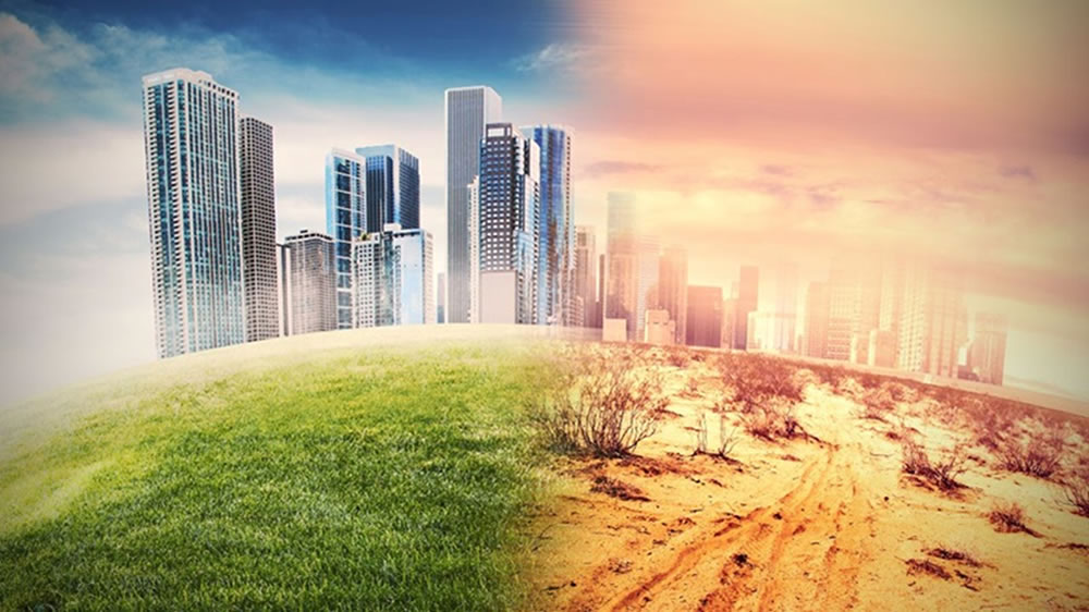 World Day to Combat Desertification and Drought 