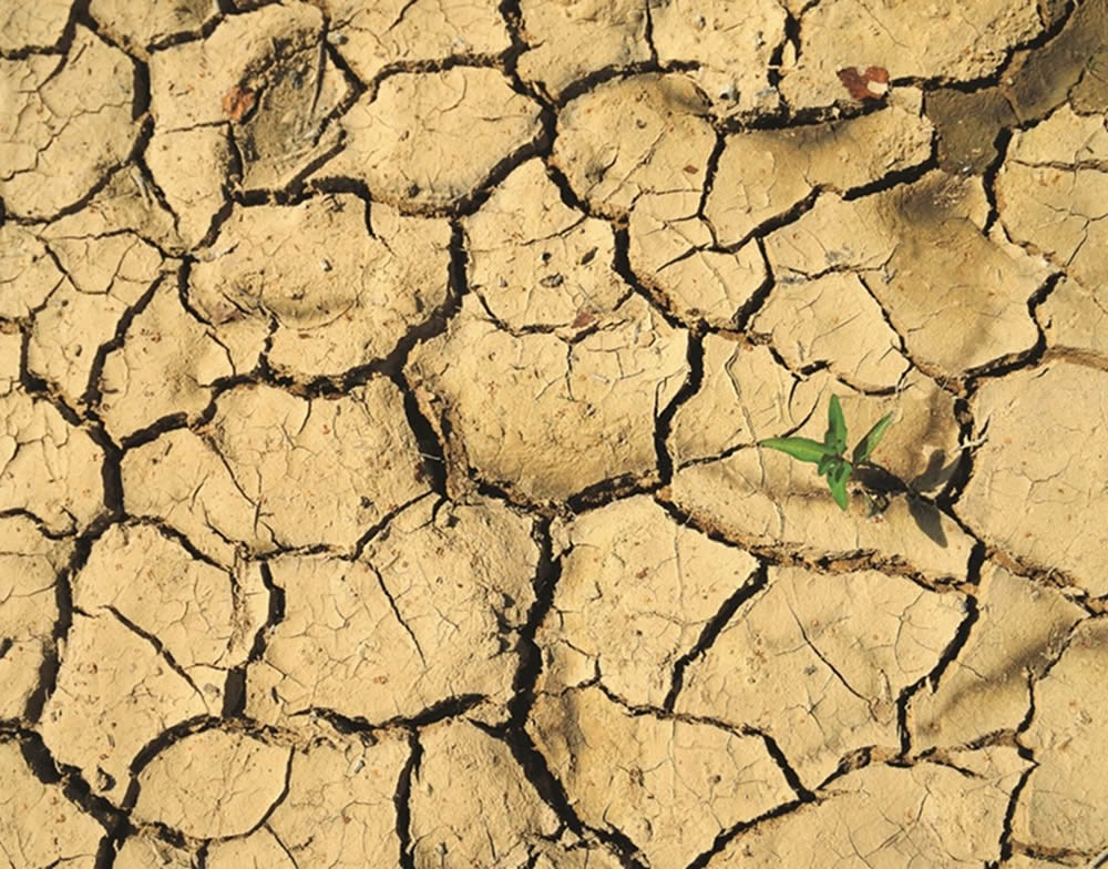 World Day to Combat Desertification and Drought 