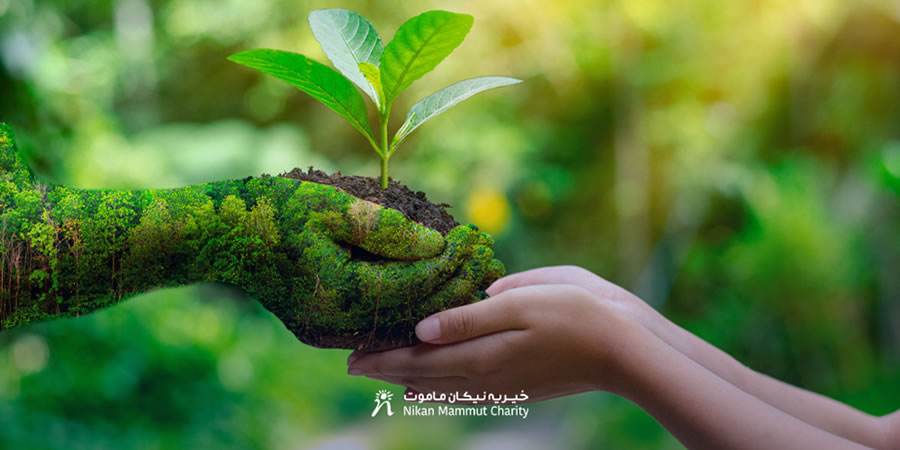 environmental projects