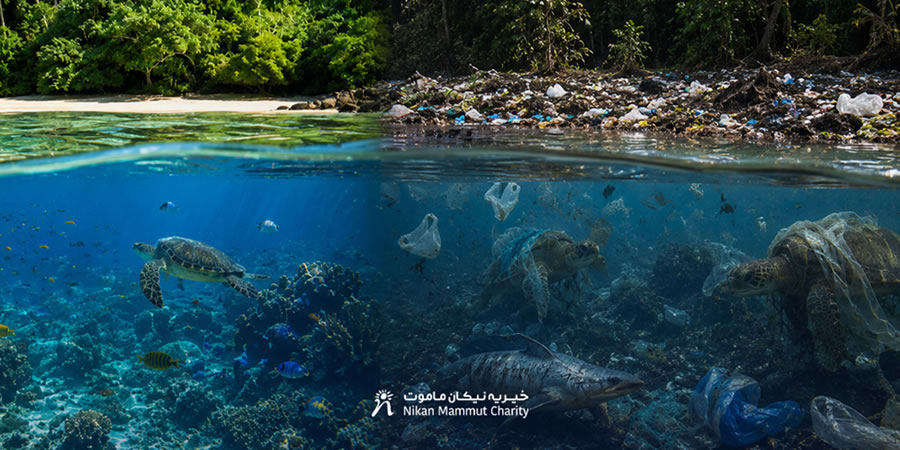 World Plastic Bag Free Day